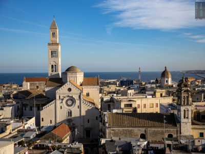Anche se a farla da padrone � la vicinissima e magnifica Cattedrale di San Sabino, con il suo bianco prospetto...